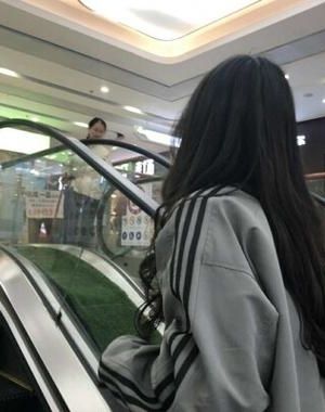 势不可挡_柴鸡蛋